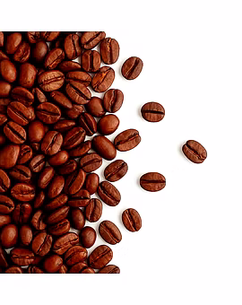 Robusta Coffee