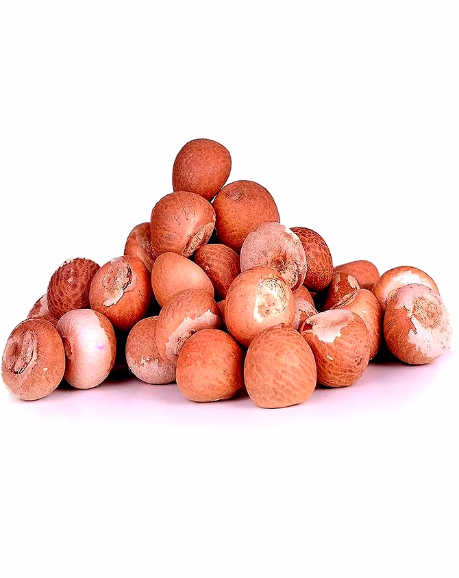 Beetle Nuts