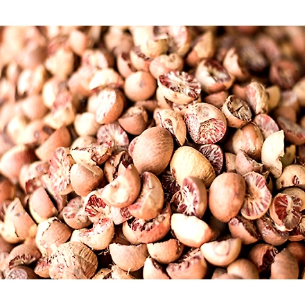 Beetle Nuts