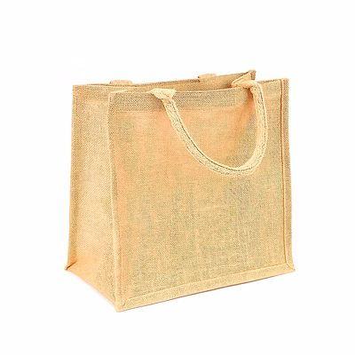 ptc global carry bags