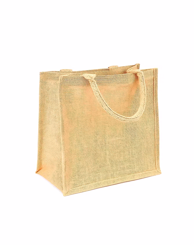 Carry Bags
