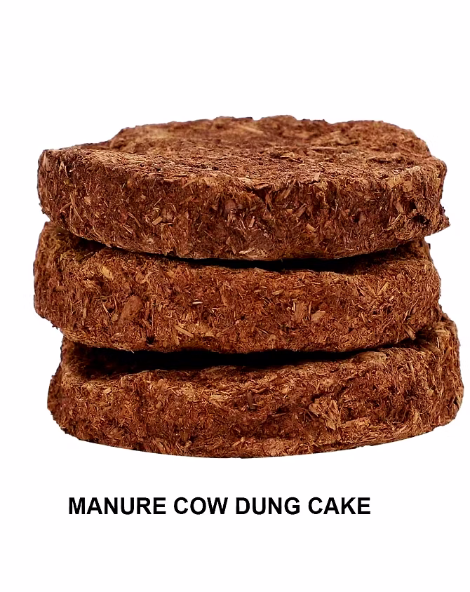 Manure Cakes