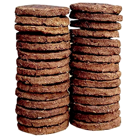 Manure Cakes