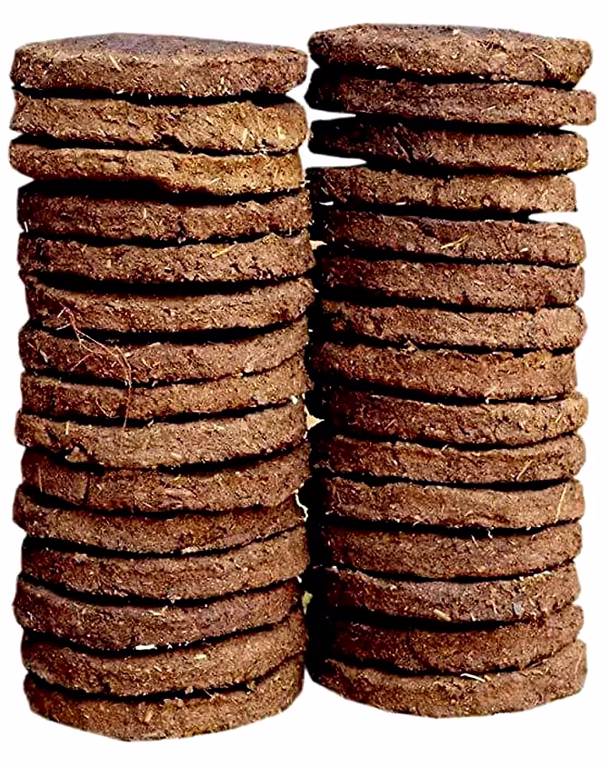 Manure Cakes