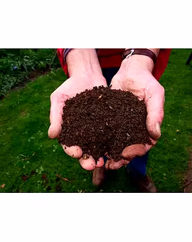 Organic Manure