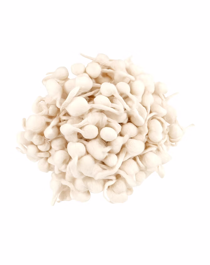 Cotton Batti