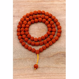 ptc global rudraksha beads & mala