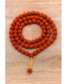 Rudraksha Beads & Mala