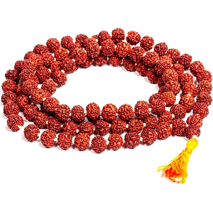 Rudraksha Beads & Mala