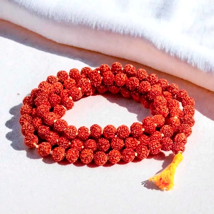 Rudraksha Beads & Mala
