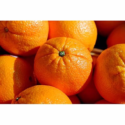 ptc global orange