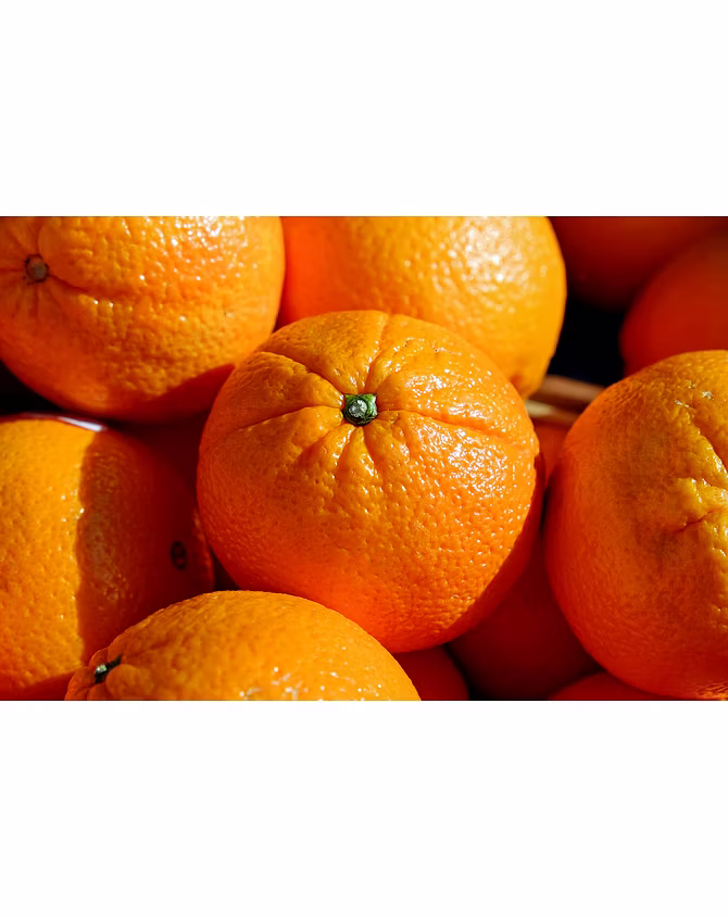 Orange-PTC1012