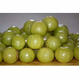 ptc global goose berry