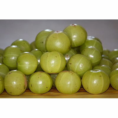 ptc global goose berry