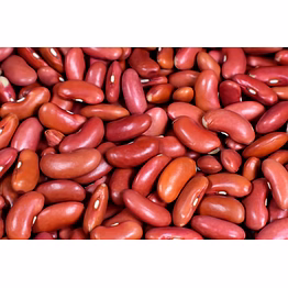 ptc global kidney beans