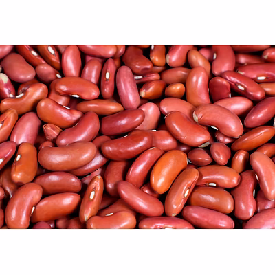 ptc global kidney beans