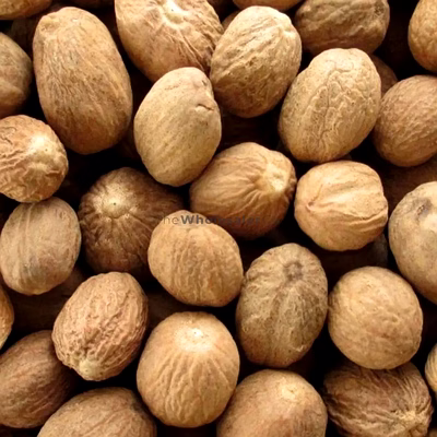 ptc global nutmeg