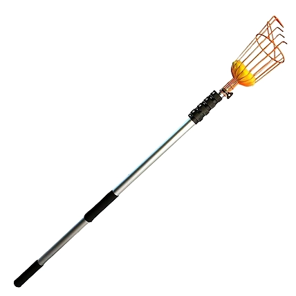FALCON FRUIT GATHERER SMALL (FFG-231)-1