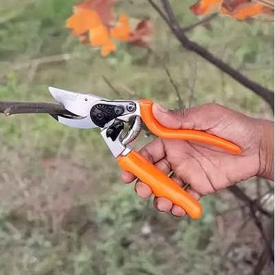 FALCON BY PASS PRUNING SECATEUR WITH ROTATING HANDLE (REVOCUT) -4