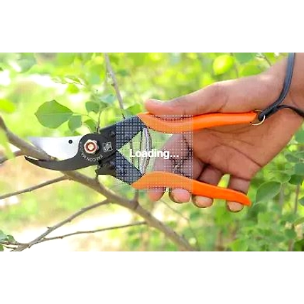 FALCON POWERFUL BY PASS  PRUNING SECATEUR MAJOR-4