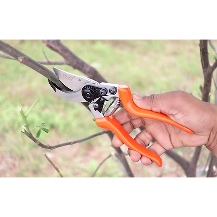 FALCON BY PASS PRUNING SECATEUR PROCUT-4