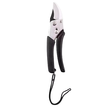 FALCON BY PASS PRUNING SECATEUR FINECUT-2