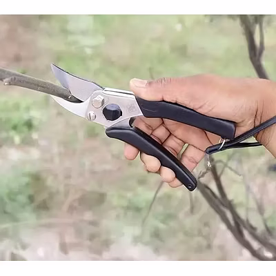 FALCON BY PASS PRUNING SECATEUR (FINECUT)-3