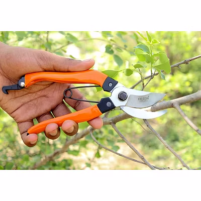 FALCON BY PASS PRUNING SECATEUR (FPS-211)-3