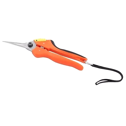 FALCON BY PASS PRUNING SECATEUR FPS-212-1