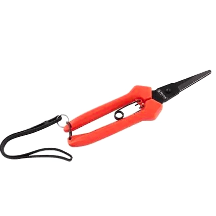 FALCON ROSE HARVESTER BY PASS PRUNING SECATEUR FBT- 40-1