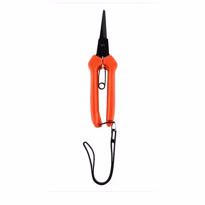 FALCON ROSE HARVESTER BY PASS PRUNING SECATEUR (FBT- 40)-2