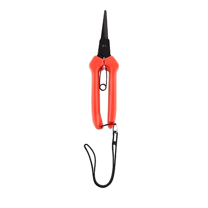 FALCON ROSE HARVESTER BY PASS PRUNING SECATEUR FBT- 40-2