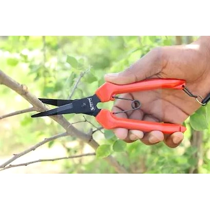 FALCON ROSE HARVESTER BY PASS PRUNING SECATEUR FBT- 40-3