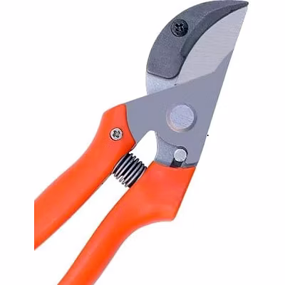 FALCON POWERFUL ANVIL PRUNING SECATEUR (FPS-206)-3