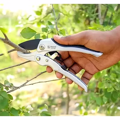 FALCON POWERFUL RATCHET PRUNING SECATEUR (FPS-209)-2