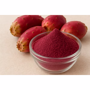 Premium Freeze Dried Prickly Pear Powder – 100% Natural Superfruit | Nutrajun LLP India