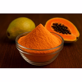 freeze dried papaya powder – premium quality, nutrient-rich, long shelf life by nutrajun llp (india)