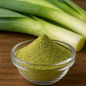Aromatic Freeze Dried Leek Powder – Natural Vegetable Powder for Soups, Seasonings & Ready Food Applications