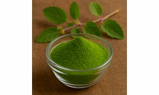 Herbal Freeze Dried Tulsi Powder – Natural Holy Basil Powder for Wellness Drinks, Herbal Products & Functional Foods