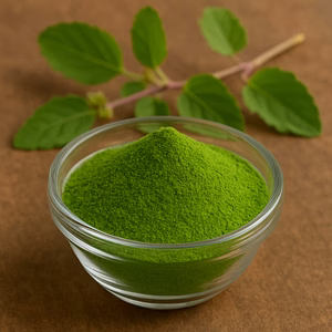 Herbal Freeze Dried Tulsi Powder – Natural Holy Basil Powder for Wellness Drinks, Herbal Products & Functional Foods