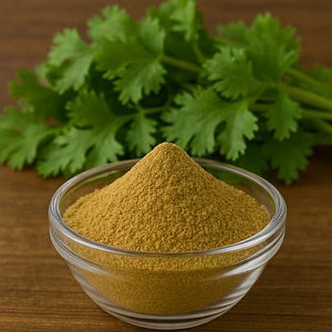 Freeze Dried Coriander Powder – Natural Herb Powder for Seasoning, Sauces & Food Processing