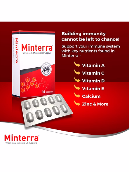 Minterra Vitamins &amp; Minerals DR Capsules for All-Round Vitality (30 Capsules)-2
