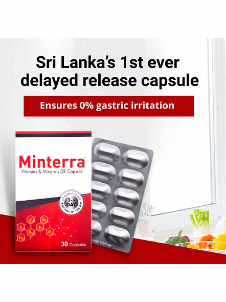 Minterra Vitamins &amp; Minerals DR Capsules for All-Round Vitality (30 Capsules)-3