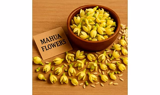 Mahua flowers