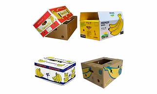 Corrugated Boxes