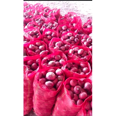 Onion