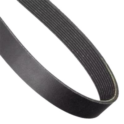 BELT-POLY GROOVED-12695645