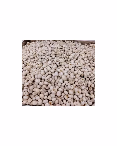 FOXNUTS-3