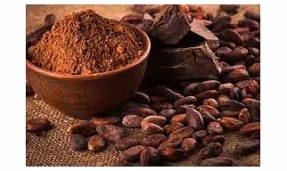 DATE SEEDS POWDER