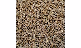 CUMIN SEEDS